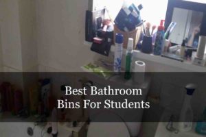 Best Bathroom Bins For Students
