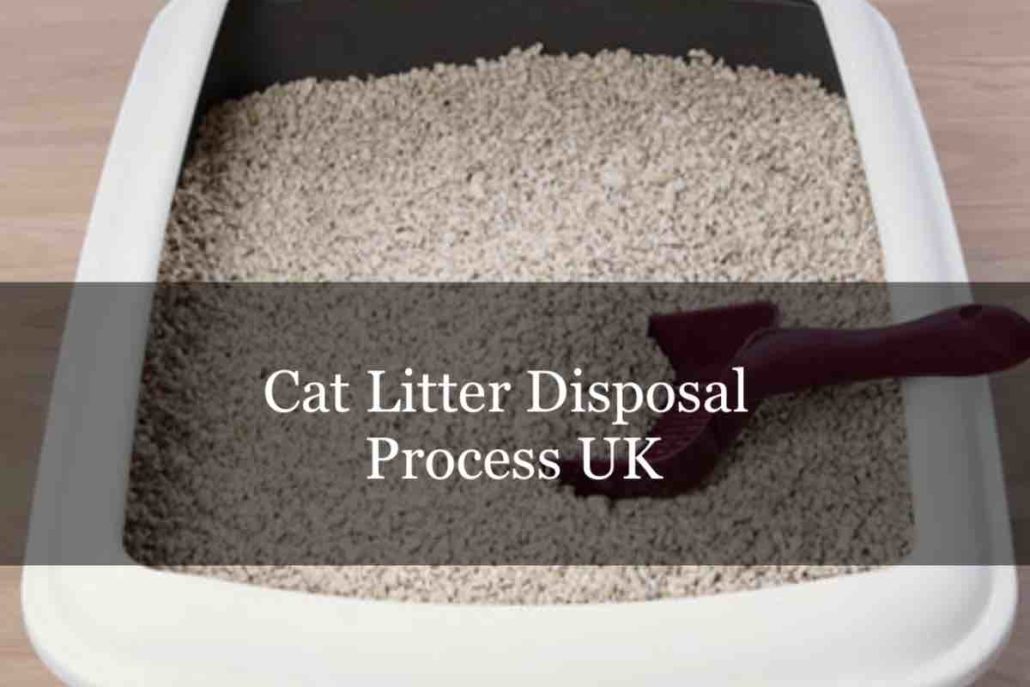 Cat Litter Disposal UK