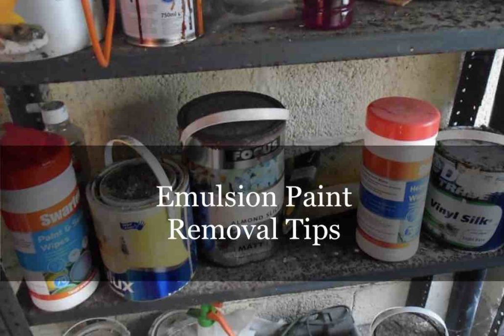 How To Dispose of Emulsion Paint?